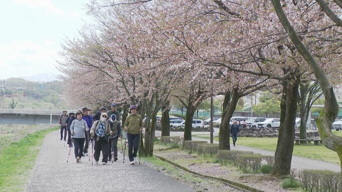 ポールウォーキング大会 転倒防止の運動にも 石川・金沢市|TBS NEWS DIG