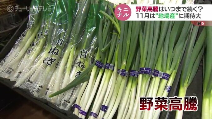 野菜が高い！いつまで？ポイントは11月の “産地切り替え” か…秋冬の「地場産野菜」の出荷量に期待も！|TBS NEWS DIG