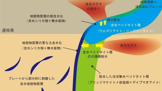 地球深部の主要鉱物は"ほぼ乾燥"していた　深部の水の行き先が判明【岡山大学など】|TBS NEWS DIG
