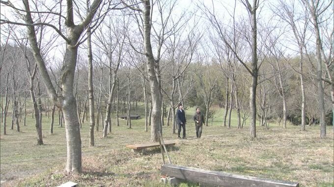 亡き妻を偲ぶ山桜　桜守は高齢に…地域の次世代が受け継ぐ「桜を後世に残したい」|TBS NEWS DIG