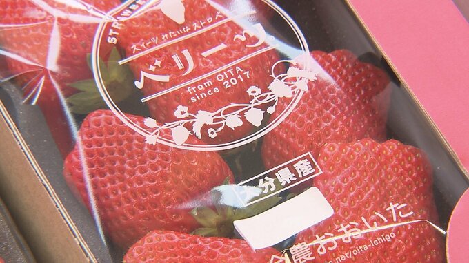 出荷のピークを前に　大分県産イチゴの品評会　|　大分のニュース｜OBS NEWS｜大分放送
