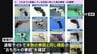 ネット通販サイトに本物の拳銃と同じ機能持つ違法な“中国製のおもちゃ拳銃” 警察庁が購入注意を呼びかけ|TBS NEWS DIG