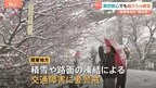 東京都心で最大5cmの積雪　関東各地も“銀世界"に　あす明け方にかけ積雪や路面の凍結などに警戒を|TBS NEWS DIG