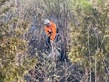 【速報】喜多方市の山林火災が鎮圧　通報から24時間　福島|TBS NEWS DIG