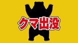 【クマ目撃】体長約1メートルのクマ 歩いていた人が目撃 山口・周南|TBS NEWS DIG