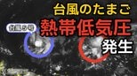 【台風情報】台風のたまご「熱帯低気圧」が新たに発生...今後の進路、日本への影響は？「台風5号（ハグピート）」はいまどこ？8日（金）～13日（水）雨風シミュレーション画像で詳しくみる【気象庁 8日午後10時更新】|TBS NEWS DIG