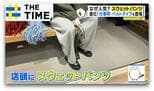 職場でも「スウェットパンツ」なぜ人気?おしゃれに着こなす今風スタイルとは?【THE TIME,】 |TBS NEWS DIG