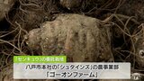 「センキュウ」生薬の原料・薬用作物の民間委託栽培開始 漢方のツムラと青森県八戸市が共同研究|TBS NEWS DIG