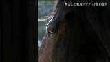 3.11震災で被災した乗馬クラブ 15年経った今も馬と向き合い続ける男性「変わったものと、変わらないもの」宮城|TBS NEWS DIG