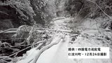 記録的大雪で“停電”今なお…3日経過「積雪で立ち入り不能」の場所も(26日午後3時30分時点) | 高知のニュース・天気|KUTV NEWS | KUTVテレビ高知