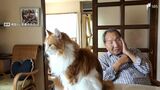 「無罪判決を出して」袴田巖さんの無実訴える 支援者が静岡市内で署名活動 やり直し裁判の判決は9月26日 | 静岡のニュース | SBSNEWS | 静岡放送