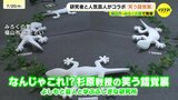 「不思議なマジックみたい」世界的教授×人気芸人がコラボ！ボールが逆さに上る！？みろくの里で「笑う錯覚展」　広島・福山市　|　RCC NEWS | 広島ニュース | RCC中国放送