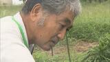 「ふるさとの空気は違う」浪江・帰還困難区域の一部で立入規制緩和 厳しい現実も | 福島のニュース│TUF