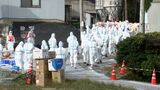 三豊市で発生した鳥インフルエンザ 12日午前0時に監視強化区域を解除 すべての防疫対応が完了【香川】|TBS NEWS DIG