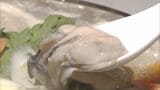 広島の養殖カキ“大量死”でスーパーでは仕入れが例年の半分程度 「年末までもたないかも…」 価格は約1.3倍に|TBS NEWS DIG