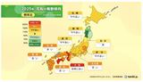 今年は花粉大量飛散のおそれ 例年の2倍 原因は昨年夏の猛暑 雄花の生長促され|TBS NEWS DIG