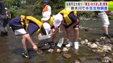 弘前市立大成小学校に「東北・水すまし賞」 毎年4年生が水生生物の採取や水質調査「“世界一きれいな川”になってほしい」 青森県 | 青森のニュース│ATV NEWS│青森テレビ