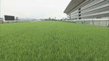夏の福島競馬前に「馬場浄め」7月1日開幕、22日にTUF杯|TBS NEWS DIG