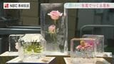 生花が氷の中に!残暑にひんやり美しい「花氷」 | 長崎のニュース | 天気 | NBC長崎放送
