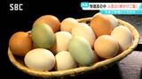 全国からファンが集まる!「絶品」たまごかけご飯の魅力 物価高が続く中でも「こだわり」と「おいしさ」を届けたい たまご料理専門店 長野・長和町 | SBC NEWS | 長野のニュース | SBC信越放送