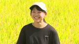 「冷めてもおいしい!」 愛媛県開発のブランド米“ひめの凜”収穫ピーク | 愛媛のニュース - Nスタえひめ|あいテレビは6チャンネル