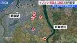 「こんなところに来るなんて信じられない…」新潟市東区と江南区でイノシシ目撃情報が6件 近くには保育園と小学校|TBS NEWS DIG