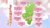 宮崎県内多くの場所で桜が満開に　桜の開花状況(4月3日時点）　|　MRTニュース ｜ ＭＲＴ宮崎放送