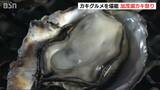 「味は申し分なく、ミネラル豊富」カキ汁・カキご飯とカキ尽くし！　加茂湖カキ祭り　新潟県|TBS NEWS DIG