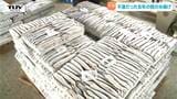不漁だった去年の倍の水揚げ! 酒田港でスルメイカの水揚げ(山形) | 山形のニュース│TUYテレビユー山形
