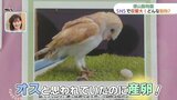 オスなのに卵を産んじゃった!?山口県周南市・徳山動物園のSNSでバズった動物の投稿がずらり!|TBS NEWS DIG