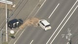 国道5号で軽乗用車どうしが衝突 双方の運転手がけがをして病院搬送 北海道倶知安町 | 北海道のニュース|HBC北海道放送