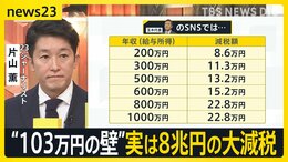 国民民主党「103万円の壁」を178万円に引き上げ案 実は“8兆円”の大減税 財源どうする?【news23】|TBS NEWS DIG