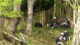 【速報】岩手県宮古市の山林火災は鎮圧(11日午前10時20分)|TBS NEWS DIG