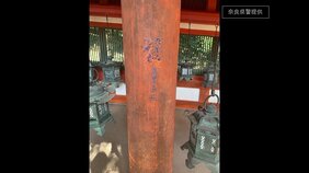 【速報】奈良の世界遺産「春日大社」の柱に落書き　重要文化財の「御本殿東回廊」や遥拝所の柱に|TBS NEWS DIG