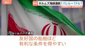 ホルムズ海峡　イランが通航料1バレル＝1ドル徴収か　その方法は？　5段階格付け　友好国有利か…　約200万バレルの超大型タンカーだと約3億円かかる計算に|TBS NEWS DIG
