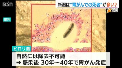 胃がんによる死亡率”が全国ワースト7位の新潟県 塩分摂取量が多いと