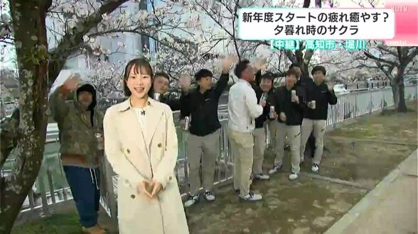 【中継】新年度スタートの疲れを癒す？夕暮れ時のサクラ　高知市・堀川　|　高知のニュース・天気｜KUTV NEWS | KUTVテレビ高知