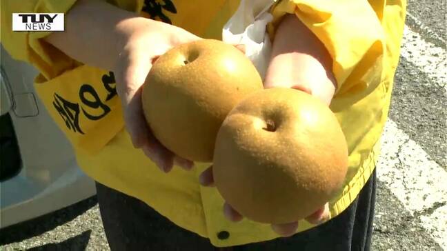 おいしいよ！旬のくだものを配りながら安全を願う「なし・なし・なし作戦」とは（山形・鶴岡市）|TBS NEWS DIG