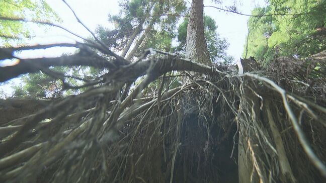 所有者不明の「不適切盛り土」 初の関係者立会の上での現地調査へ 崩落防止対策工事の実施と並行して2025年度中に 広島|TBS NEWS DIG