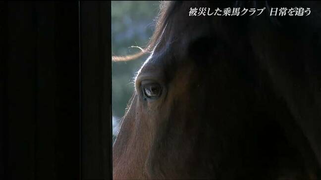 3.11震災で被災した乗馬クラブ 15年経った今も馬と向き合い続ける男性「変わったものと、変わらないもの」宮城|TBS NEWS DIG