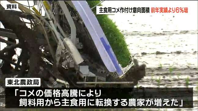 コメ価格高騰で「飼料用→主食用に転換」4月現在の作付面積約6％増　宮城|TBS NEWS DIG
