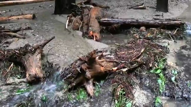 大雨の影響で公共交通機関に乱れや土砂崩れも　あすにかけて土砂災害や落雷・突風への注意を【岡山】|TBS NEWS DIG