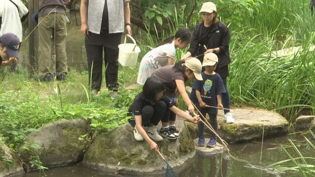 地元の水辺環境を守れ「大ザリガニ釣り大会」 アメリカザリガニを約1時間半で125匹釣り上げ 捕まえたザリガニはゆでた後、砕いて肥料として活用 盛岡市 |TBS NEWS DIG
