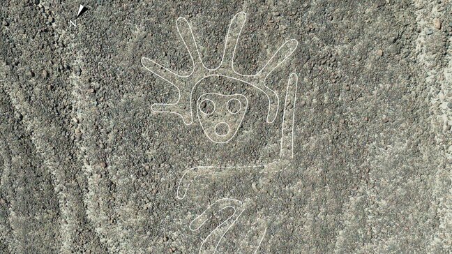 山形大学はナスカの地上絵発見で世界をリード　画像で地上絵をじっくり見てみよう！　AI駆使で地上絵発見の効率が大幅アップ　坂井教授が手応え語る|TBS NEWS DIG