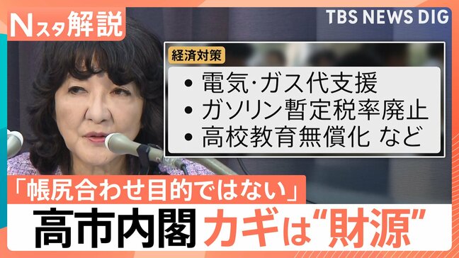 「ガソリン暫定税率廃止」「103万円の壁」見直し…高市内閣の経済対策 実現できるのか、カギ握る「財源」【Nスタ解説】|TBS NEWS DIG