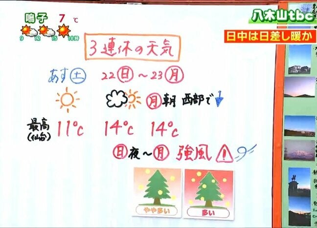 【20日宮城の天気】全国で最もよく晴れる 3連休は春先取りの暖かさも花粉飛散が本格化のおそれ tbc気象台|TBS NEWS DIG