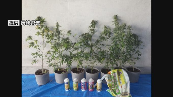 「自分で吸うために育てた」大麻草7株を自宅で栽培した疑い　自営業の男（40）現行犯逮捕　現法律での摘発は長崎県内では初|TBS NEWS DIG