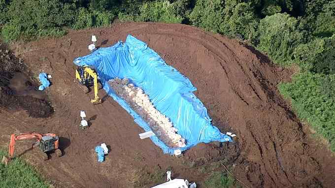 豚熱感染　佐賀県が搬出制限を一部解除　新たな感染確認されなければ今月１９日にも終息宣言へ　|　福岡のニュース｜RKB NEWS｜RKB毎日放送