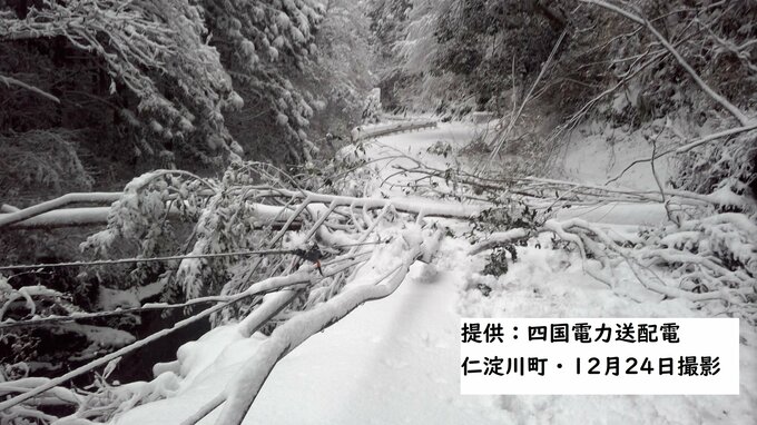 記録的大雪で“停電”今なお…3日経過「積雪で立ち入り不能」の場所も（26日午後3時30分時点）　|　高知のニュース・天気｜KUTV NEWS | KUTVテレビ高知