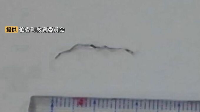 「厚揚げのみそ汁」に「金属たわしの繊維のようなもの」…小学校給食に異物混入、2年生の児童が口にして発覚　鳥取県伯耆町|TBS NEWS DIG